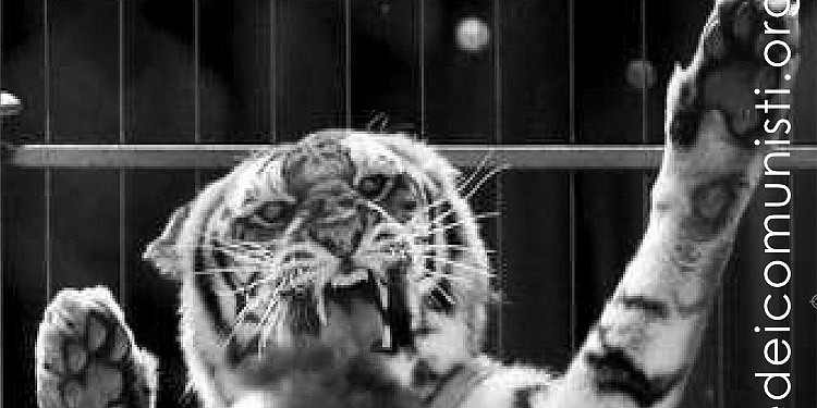 2014-02-contropiano-anno23-n1-testata