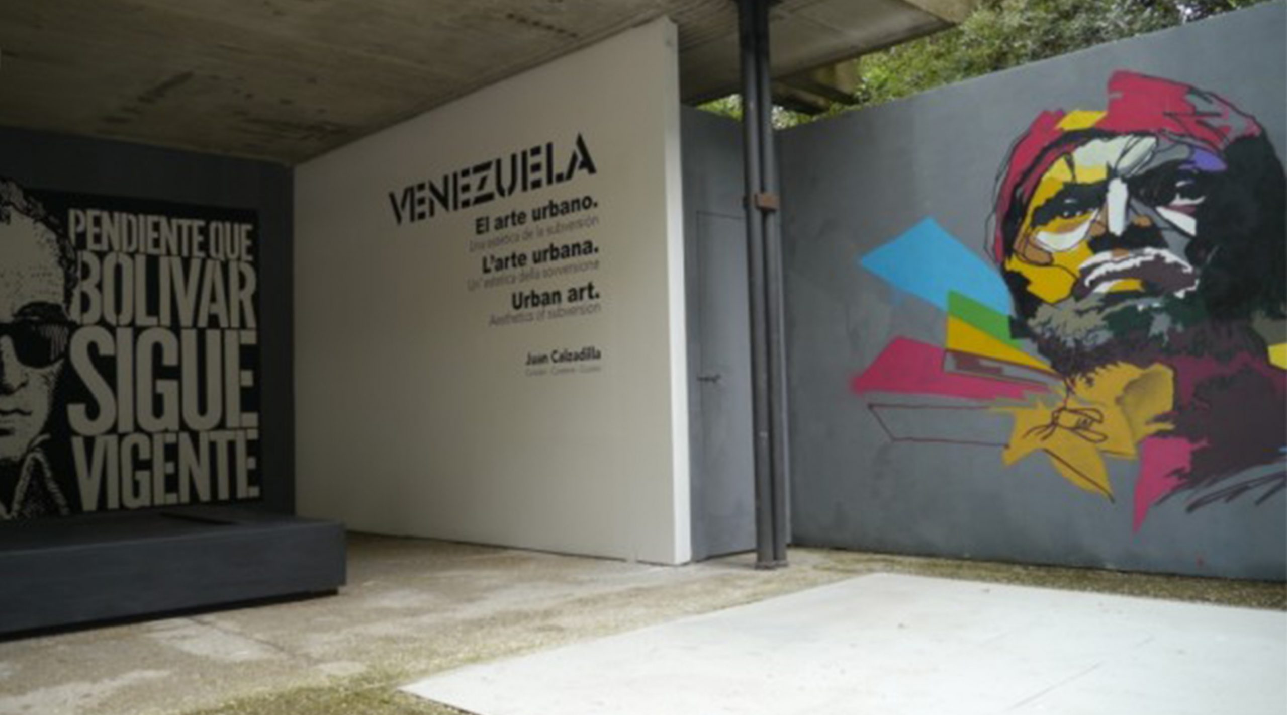 biennale venezuela