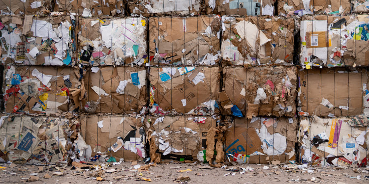 Foto di Alex Fu da Pexels