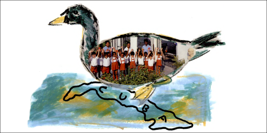 2006-la-papera-galleggia