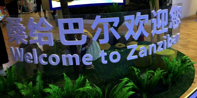The_First_China-Africa_Economic_and_Trade_Expo_Changsha_Hunan_China_29_June_2019n