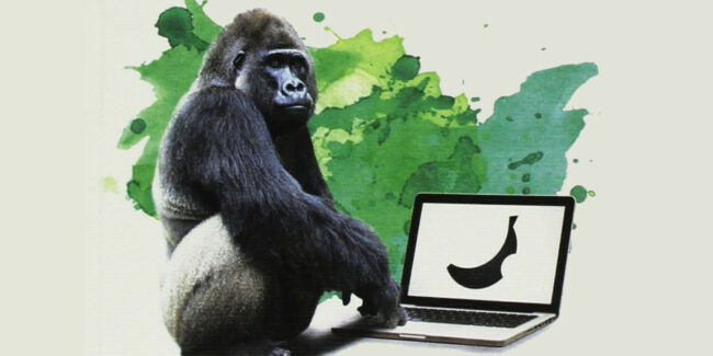 2018-comunicazione-deviante