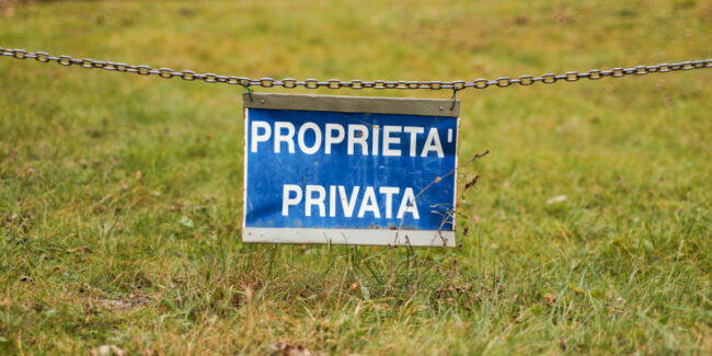 31730150698_de6145991f_k