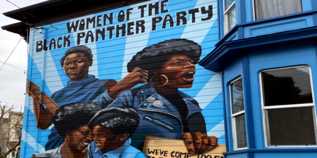 51020095828_b51edd388f_o