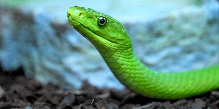 13358887404_b2bf3c59bb_k